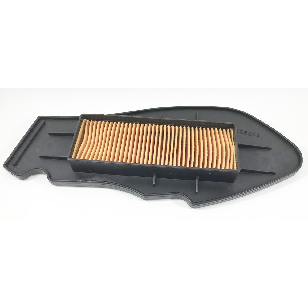 Air filter roughhouse 50, blackcat 50, rattler 50, P22620310000